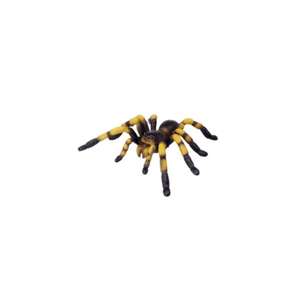 3D puzzle - Tarantula pók